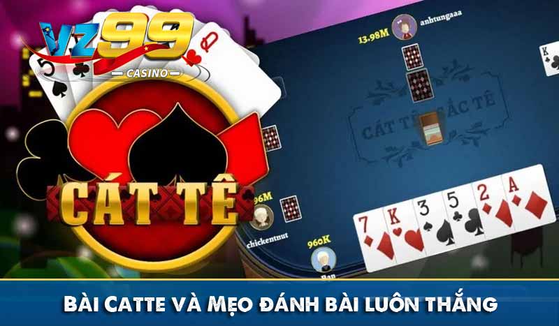 bài catte và mẹo chơi bài luôn thắng