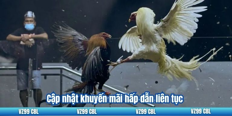 Cập nhật khuyến mãi hấp dẫn liên tục