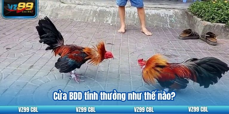 Cửa BDD tính thưởng như thế nào?