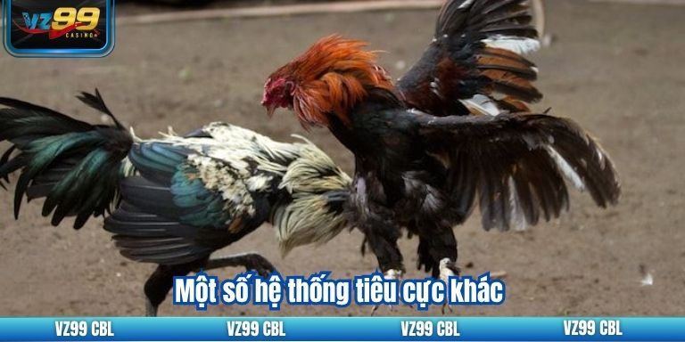 Một số hệ thống tiêu cực khác