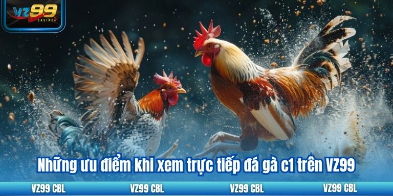Trực Tiếp Đá Gà C1: Trận Đấu Đỉnh Cao Hấp Dẫn Tại VZ99 Những ưu điểm khi xem trực tiếp đá gà c1 trên VZ99
